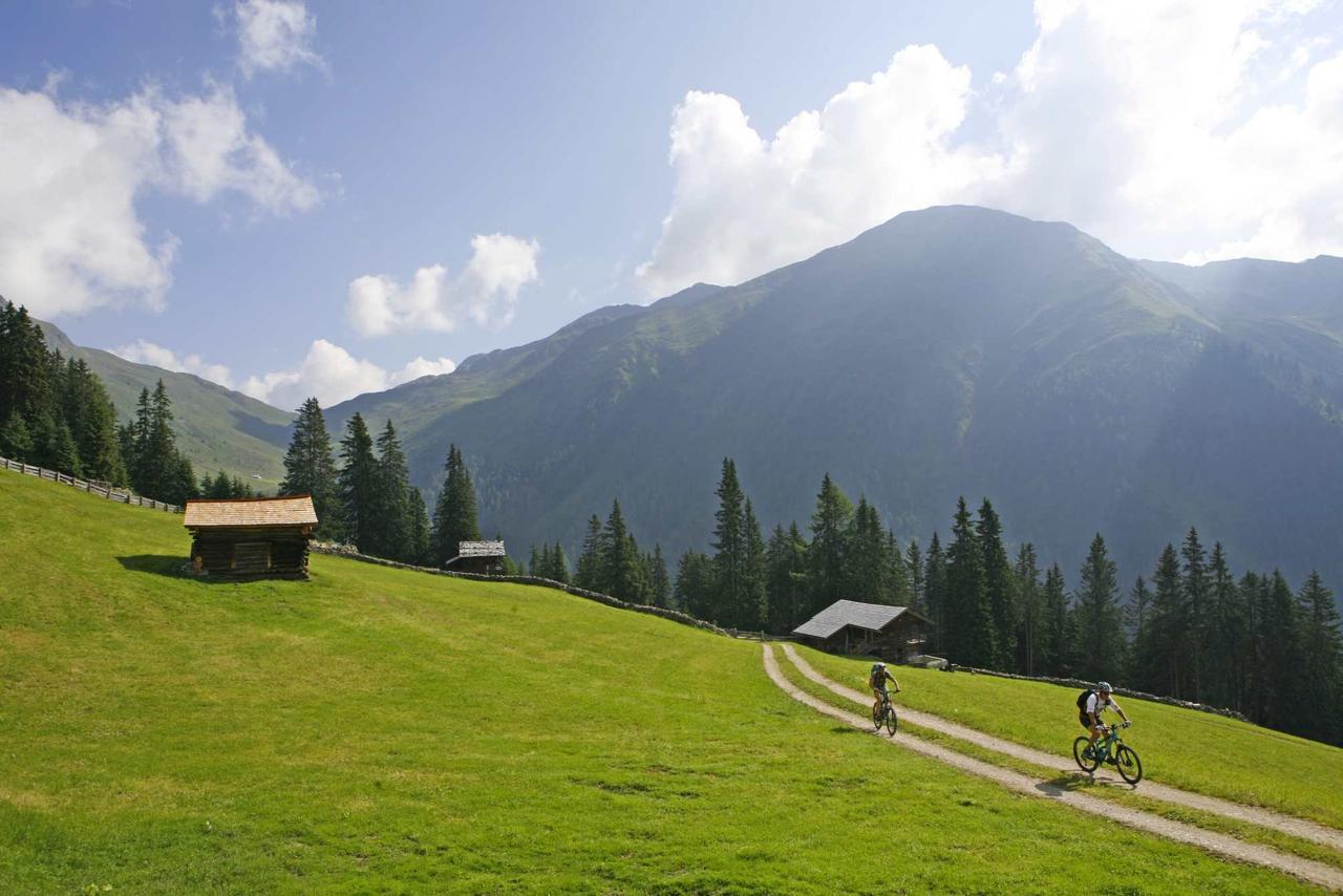 Chalet Salena Luxury Lodge Santa Maddalena in Casies Exterior photo